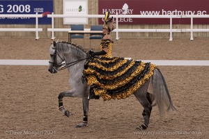 Lusitano Breed Society of Great Britain Show - Hartpury College - 27th June 2009